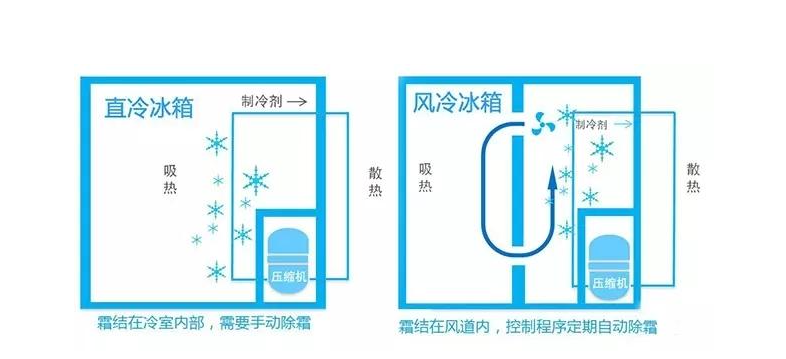 冰箱的散热器位置图图片