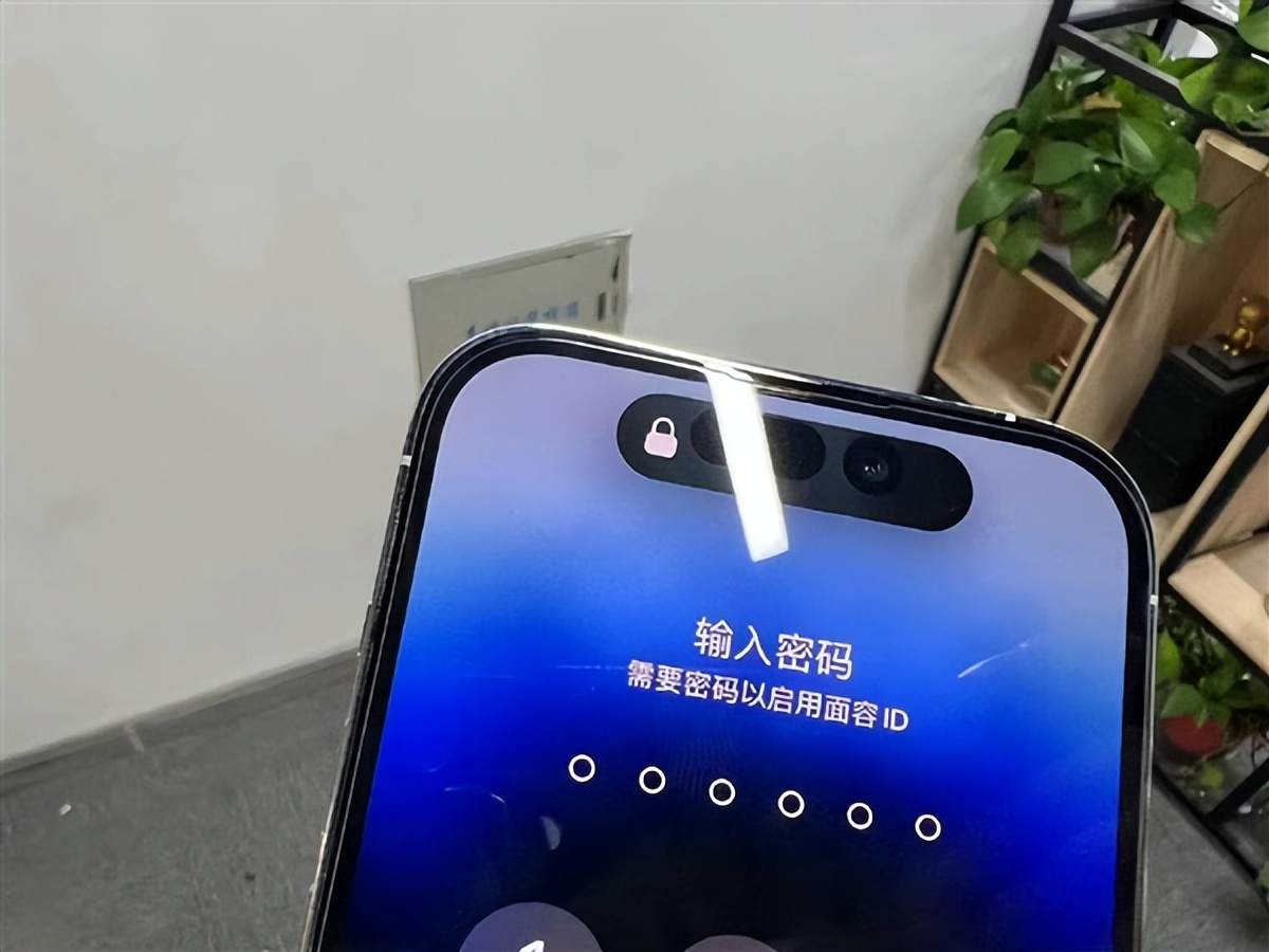 快速适配！首款“灵动岛”游戏上架，iPhone14Pro挖孔能养宠物