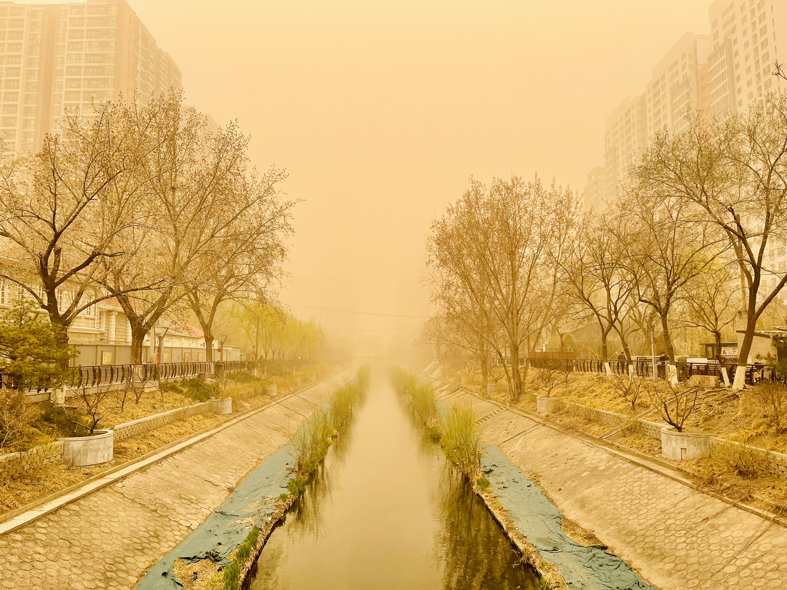 北京黄沙漫天图片图片